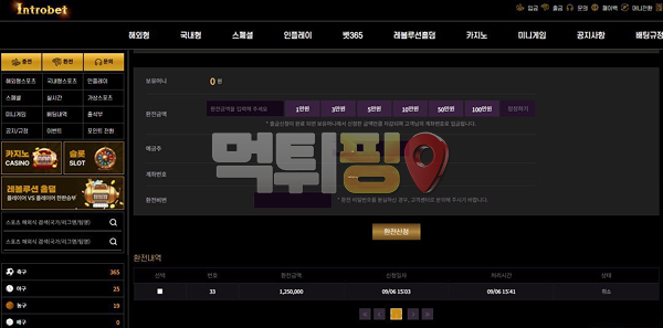 인트로벳 먹튀 확정 증거자료