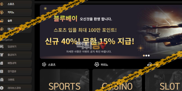 먹튀사이트 블루베이 먹튀검증