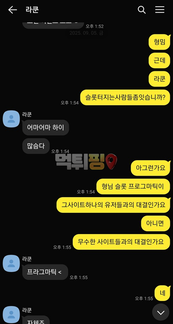 라쿤 먹튀 확정 증거자료