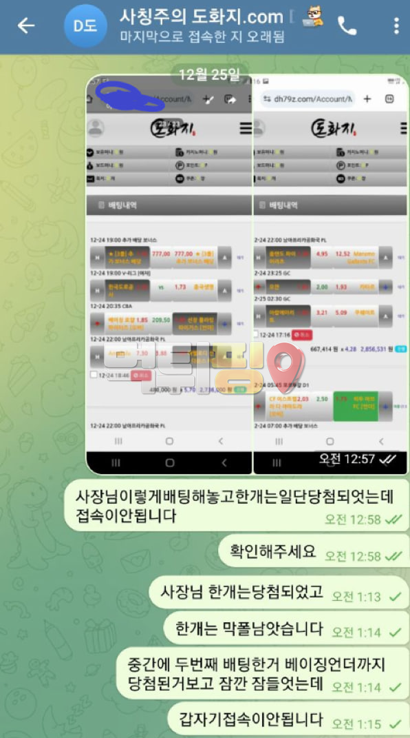 도화지 먹튀 확정 증거자료