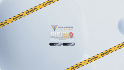 먹튀사이트 텐베거 먹튀검증