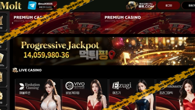 먹튀사이트 몰트카지노 먹튀검증