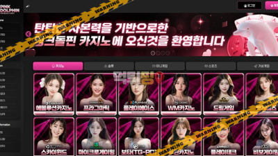 먹튀사이트 핑크돌핀 먹튀검증